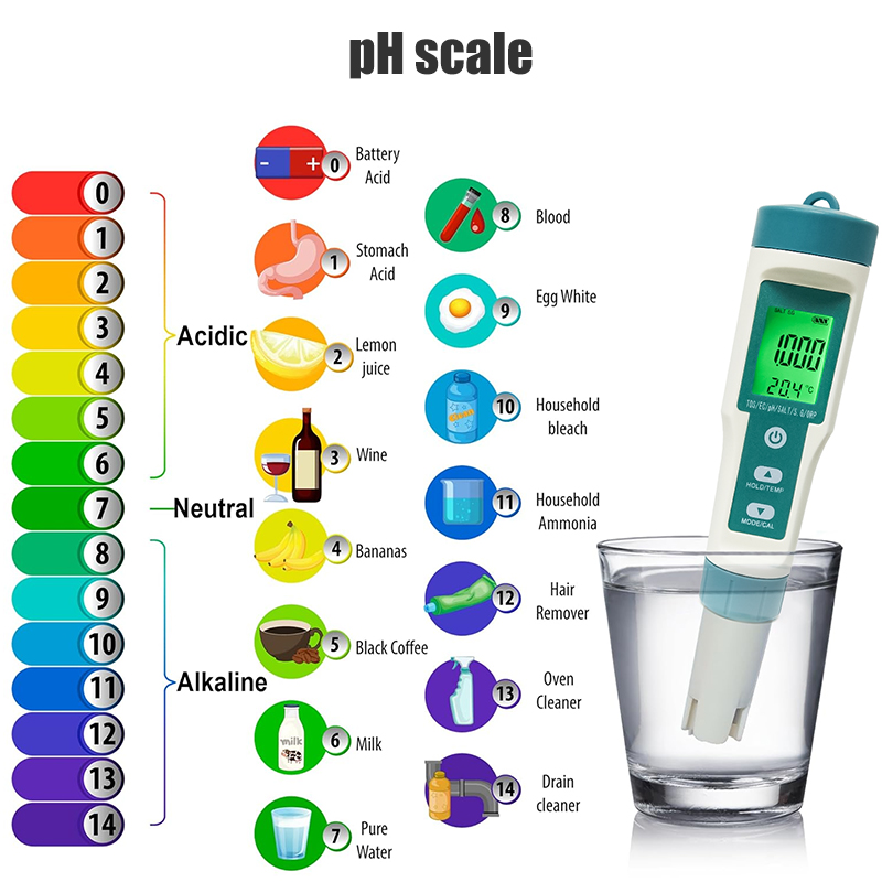 WESTTUNE Digital PH Meter 7 In - Ph Meter Digital Water Tester ulasan dan harga