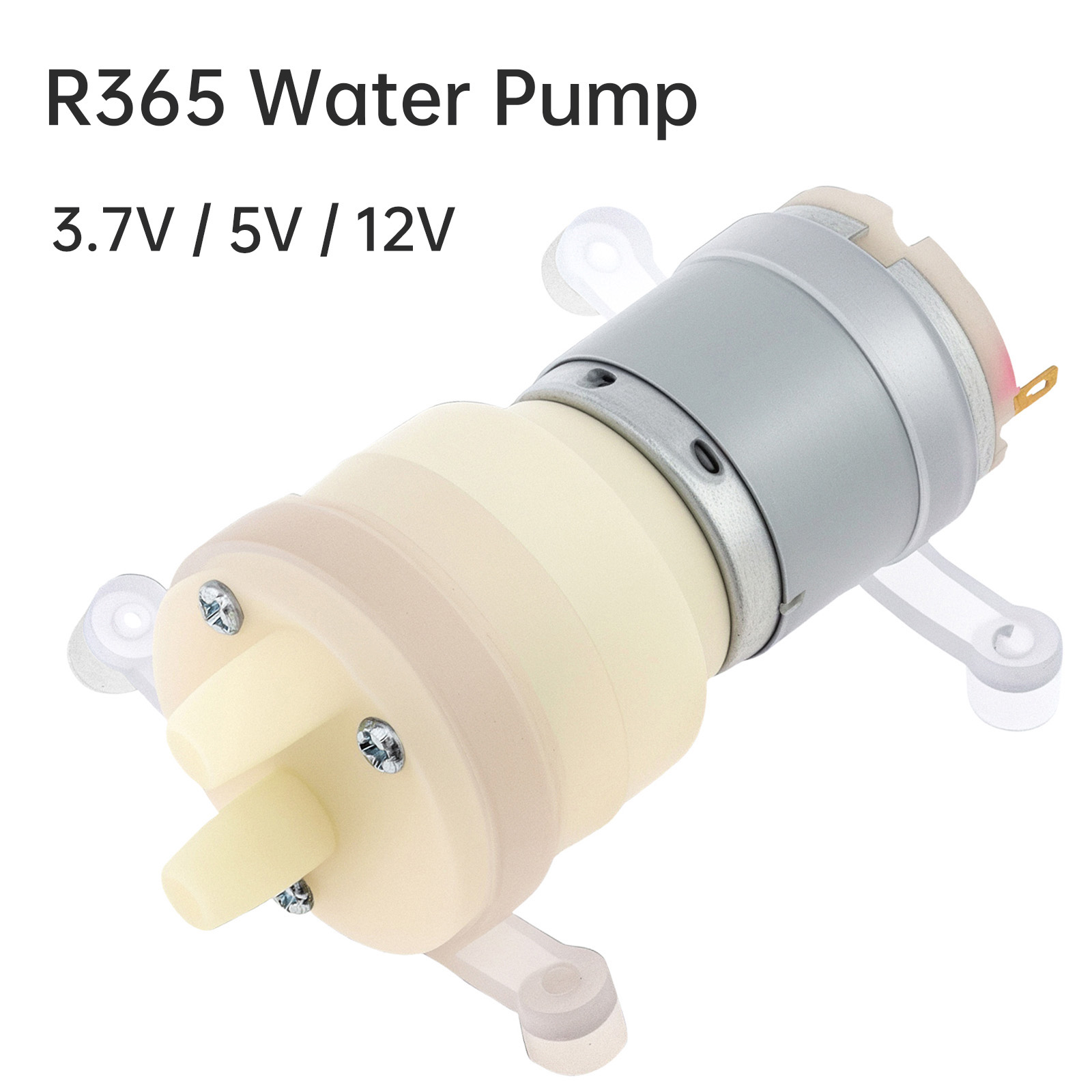 R365 Motor Pompa Air Mikro DC  - Mini Peristaltic Pump 12V ulasan dan harga