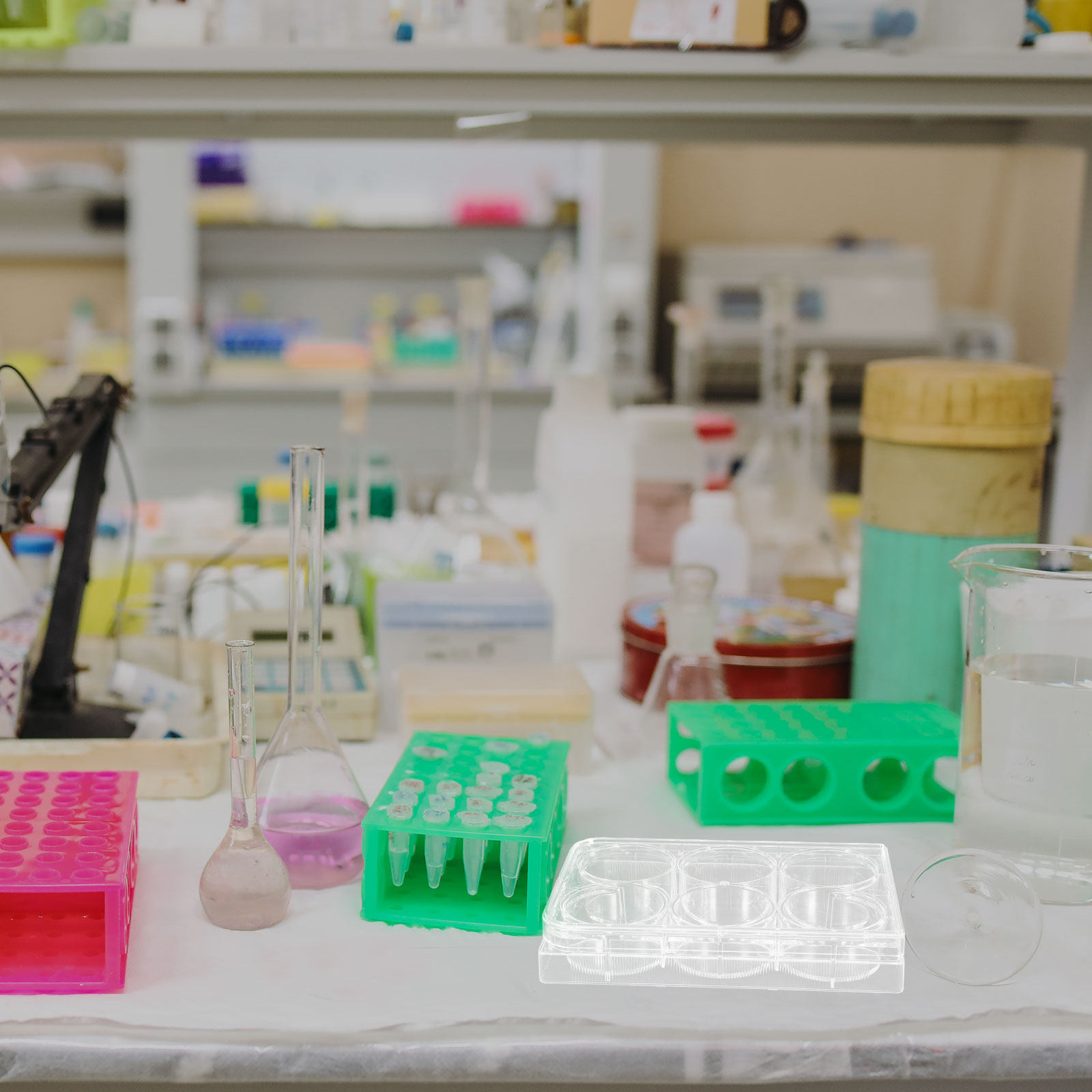 Pelat Kultur Jaringan Laborato - Lab Equipment ulasan dan harga