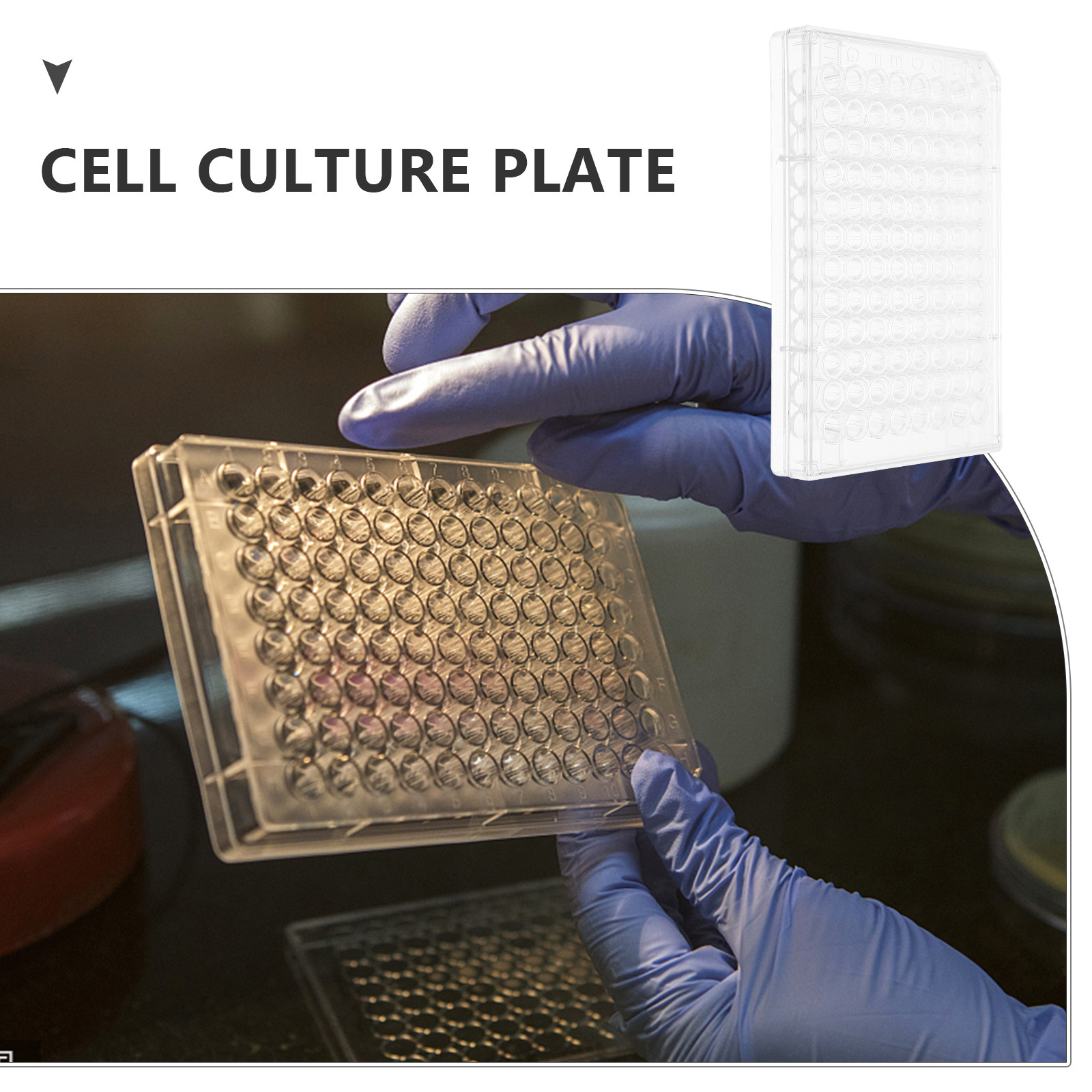 Plat Kultur Sel 96 Wells Trans - Lab Equipment ulasan dan harga